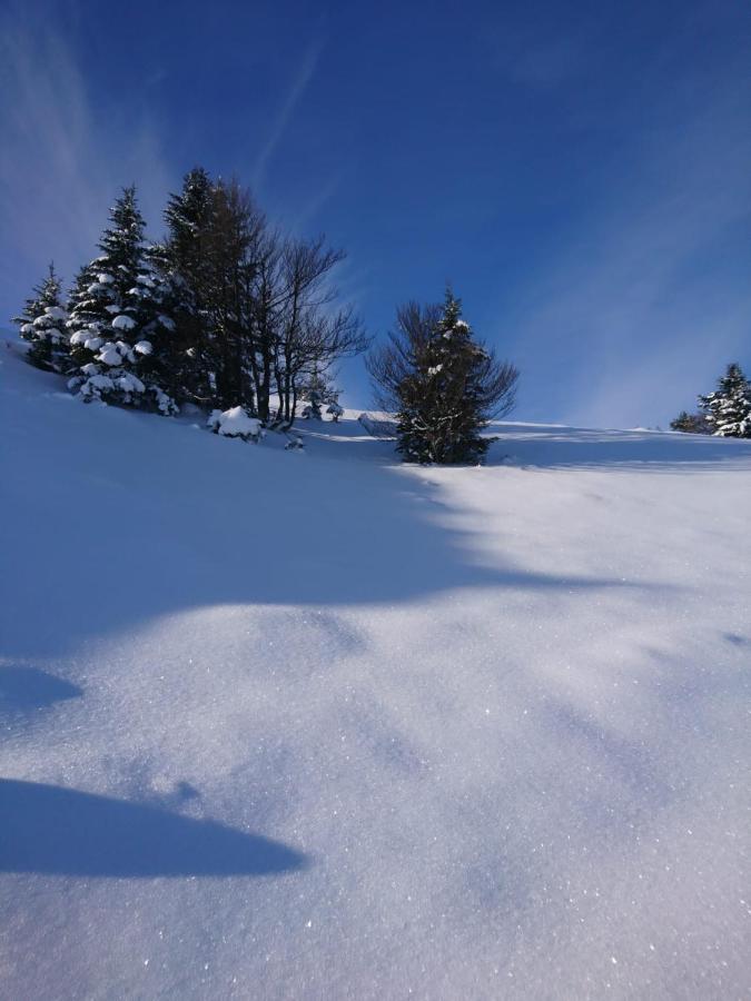 Holiday home Au Nid De Caroline 4 Etoiles Arette